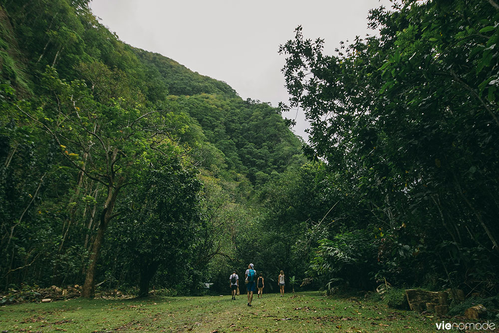 Randonnée dans la jungle de Tahiti