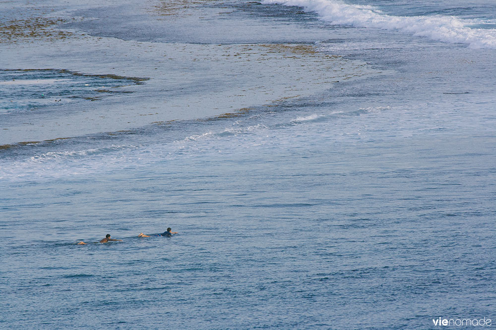 Surfeurs à Raiatea