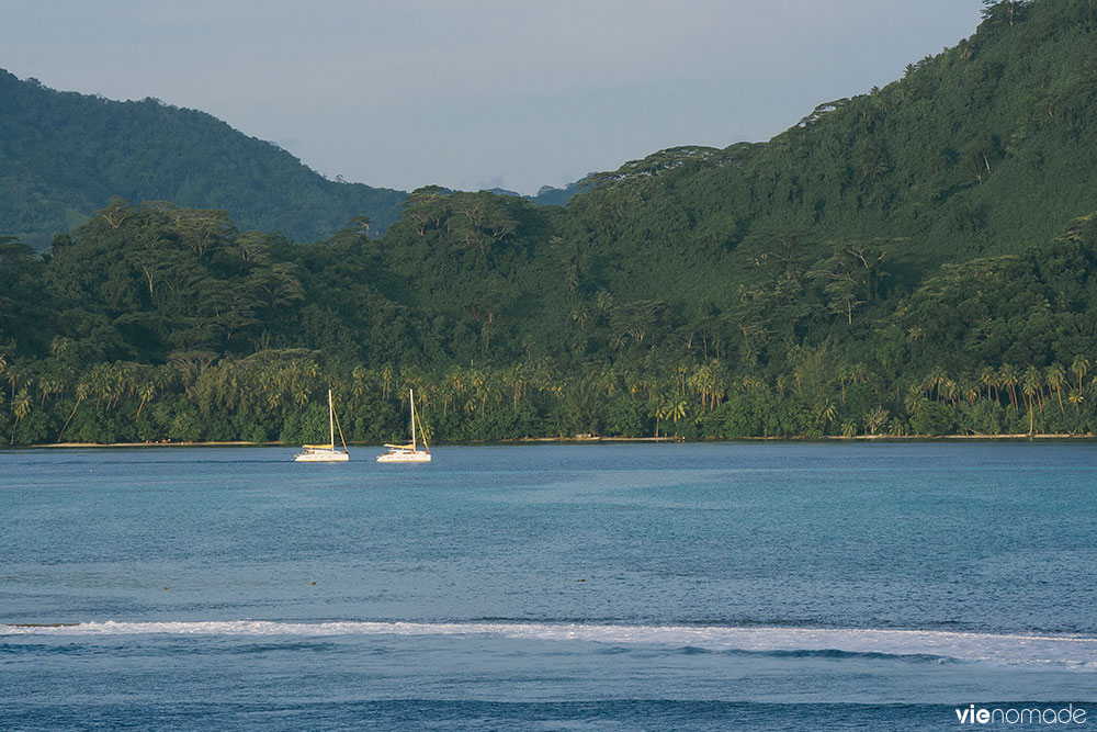 Voiliers à Raiatea