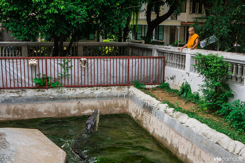 Wat Chakrawat, le templs aux crocodiles de Bangkok