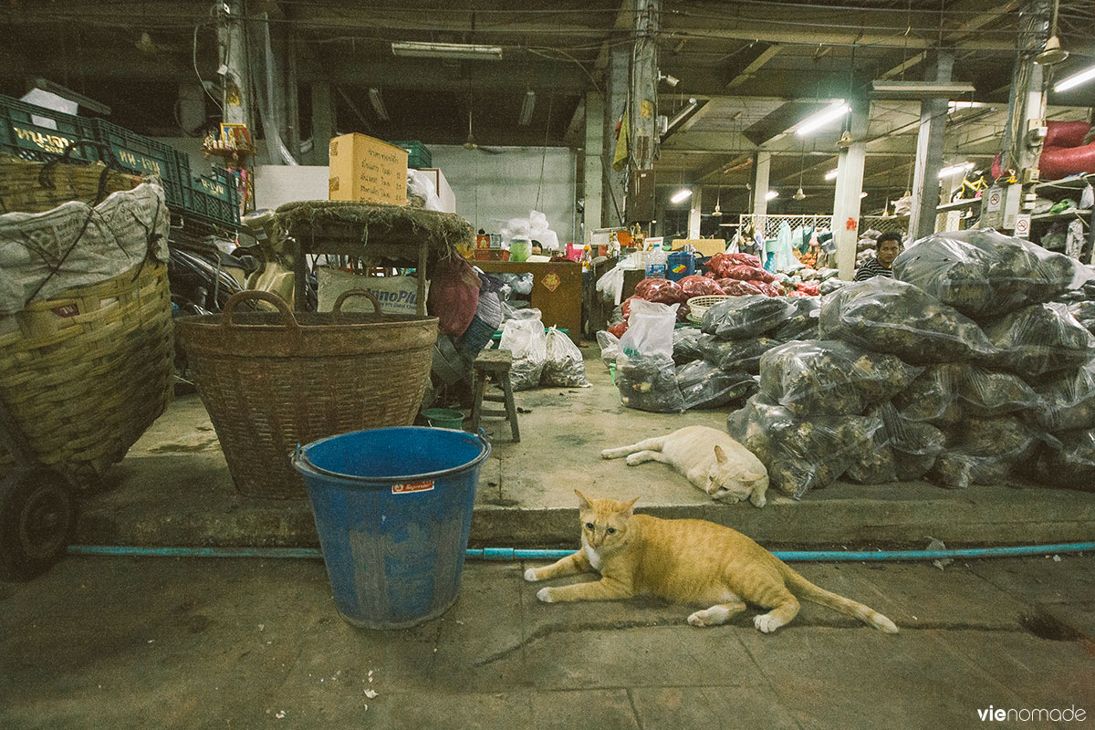 Pak Khlong, marché aux fleurs de Bangkok