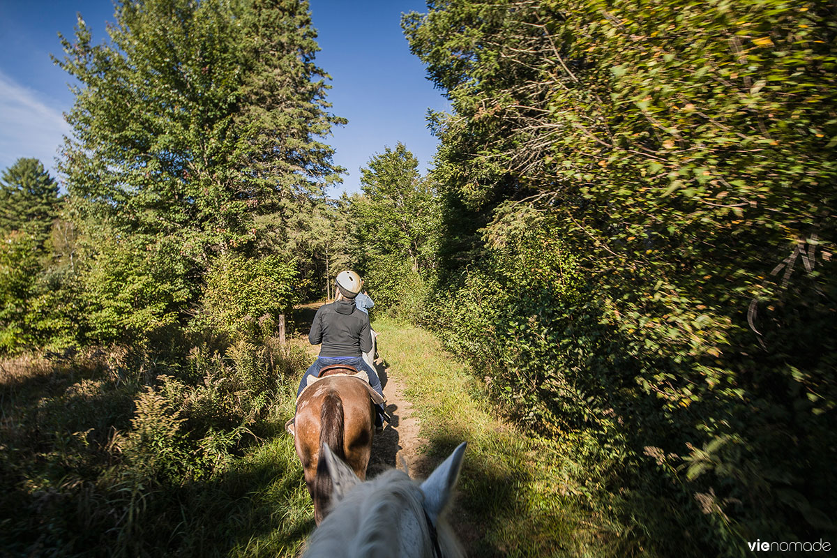 Balade à cheval en Mauricie, Québec