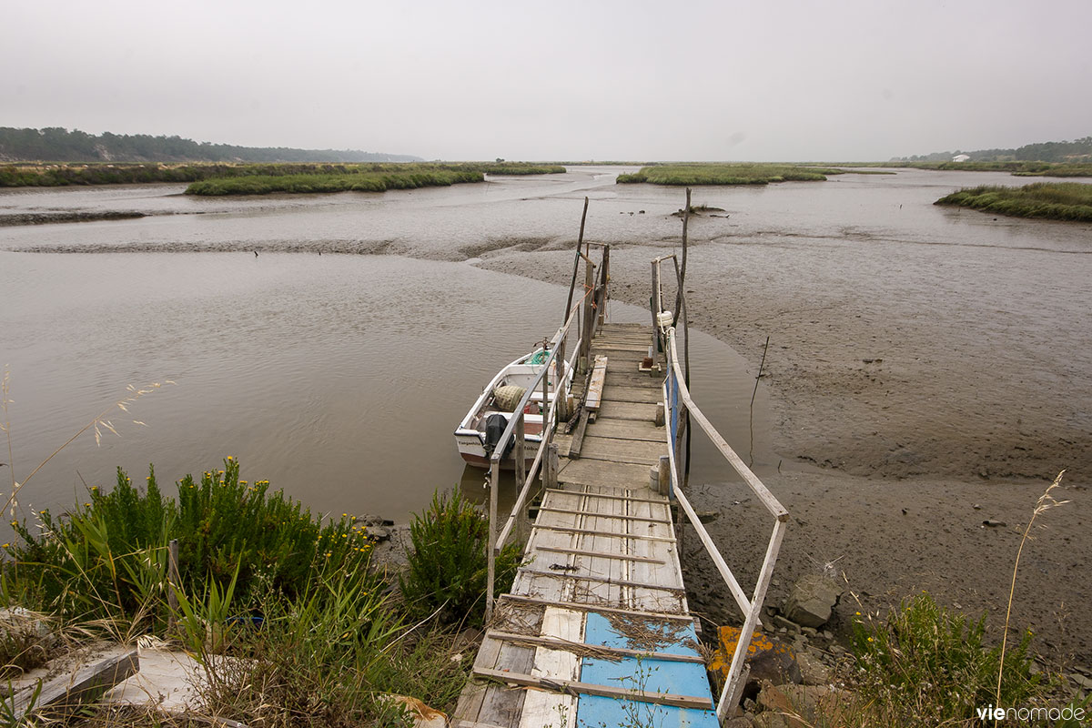 Estuaire du Sado