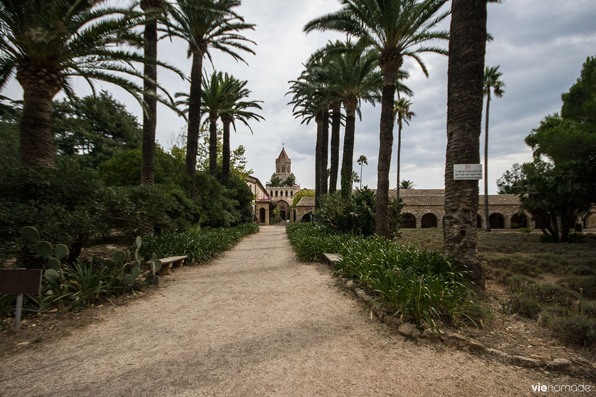 Île Saint Honorat, dégustation de vin