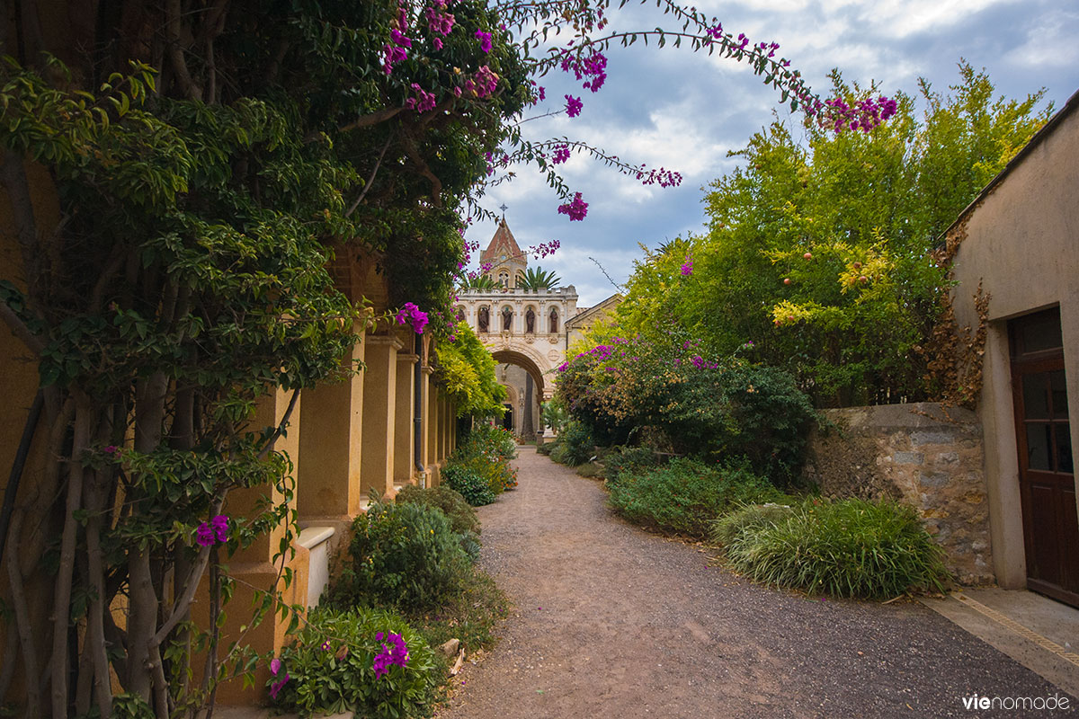 Île Saint Honorat, dégustation de vin