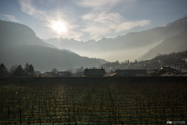 Vignoble du Palazzo Vertemate Franchi à Chiavenna, avec le vin Anfora