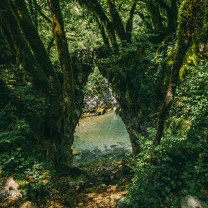 Randonnée au Monténégro: Canyon Mrtvica