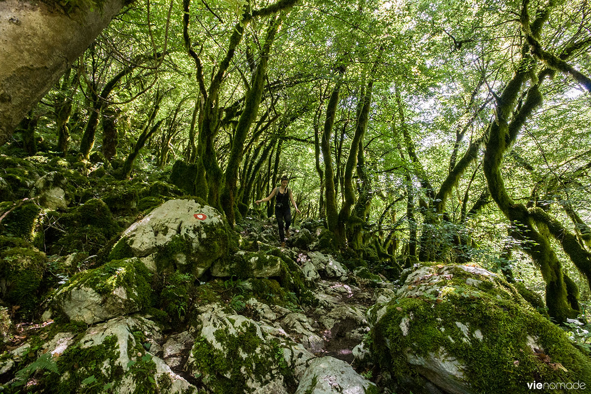 Rando dans le canyon Mrtvica