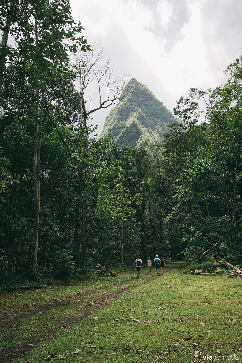 Montagne à Tahiti