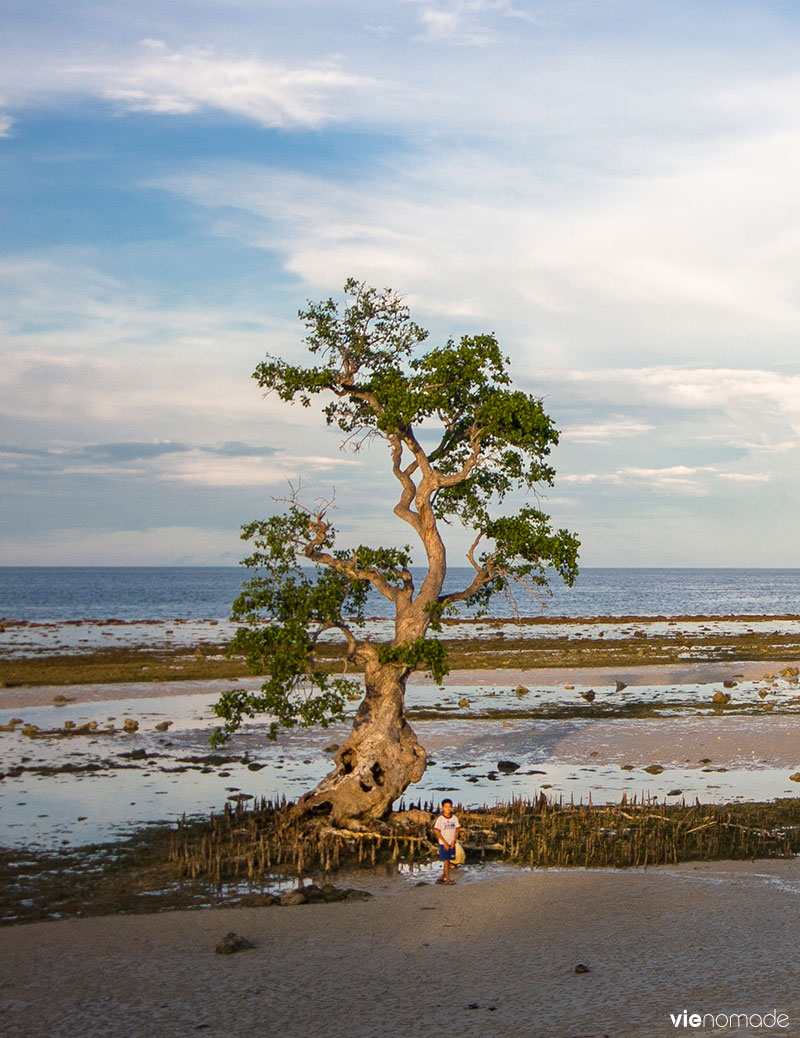 Que faire à Siquijor?