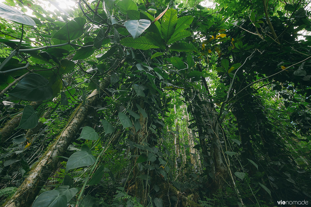 Randonner à Tahiti