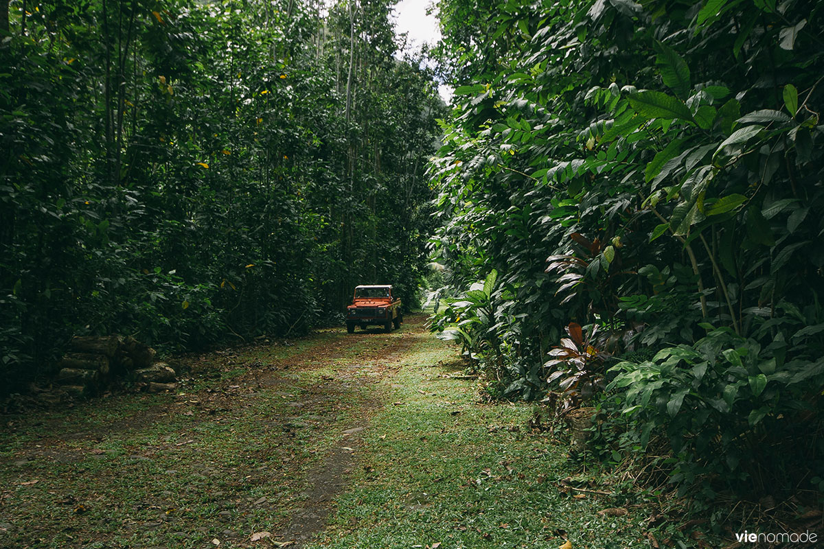 Randonner à Tahiti