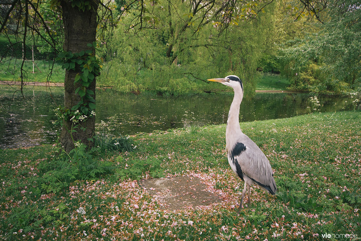 Regent's Park, Londres