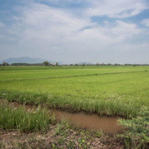 Road trip en Issan, Thaïlande