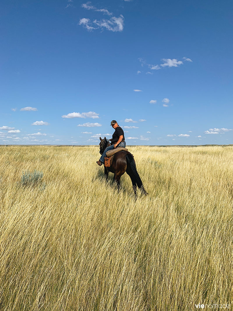 Teresa du Gold Willow Ranch, Saskatchewan