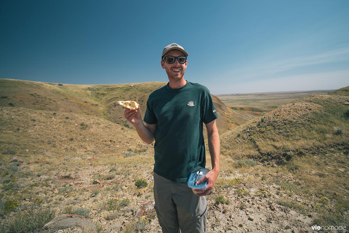 Michael Painchaud à la 70 Mile Butte: l'aigle royal