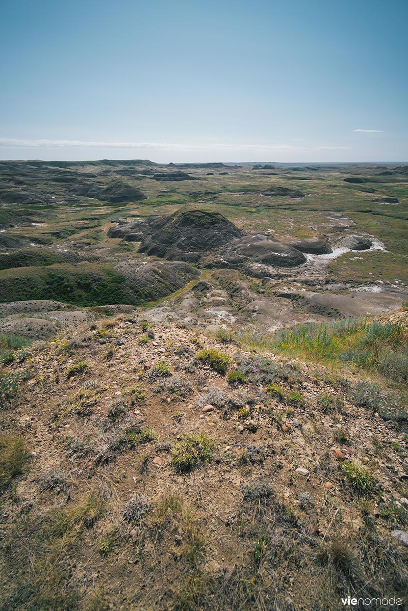 Parc national des prairies, saskatchewan