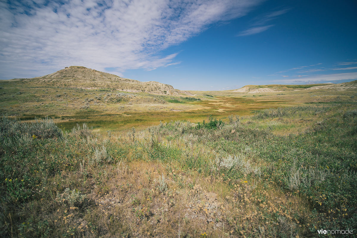 Ouest canadien: paysage typique des prairies