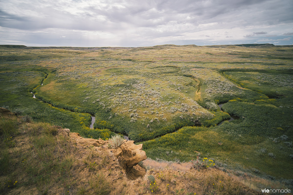 Randonnée dans le Parc National des Prairies