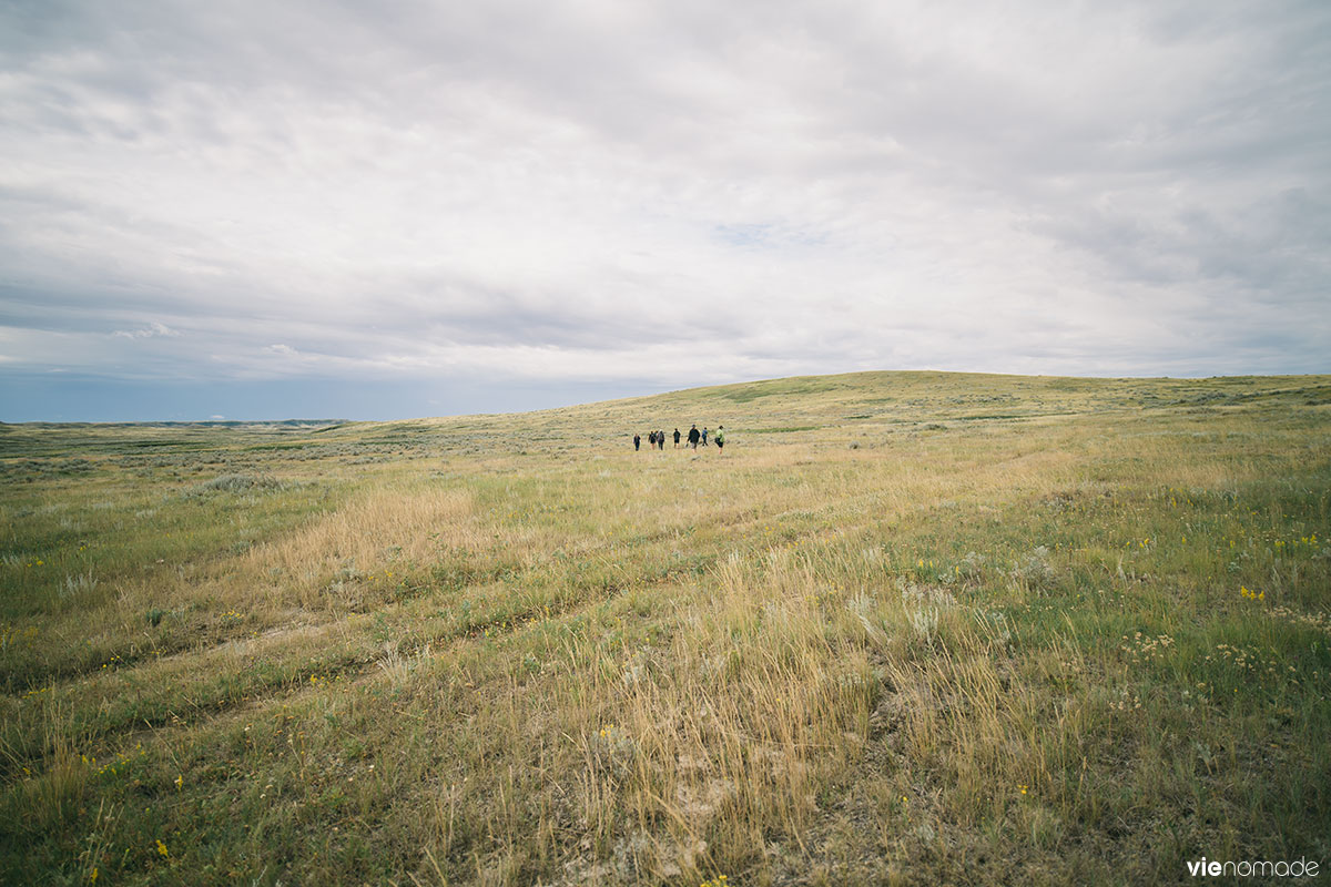 Randonnée dans le Parc National des Prairies